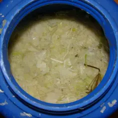 Jak kisić kapustę w beczce plastikowej - unikaj najczęstszych błędów