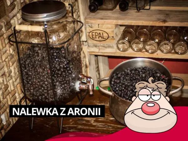 Gdzie kupić nalewkę z aronii - najlepsze miejsca i oferty